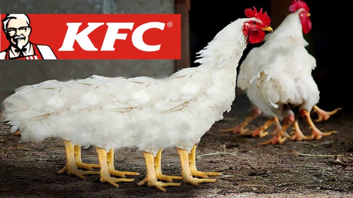 KFC